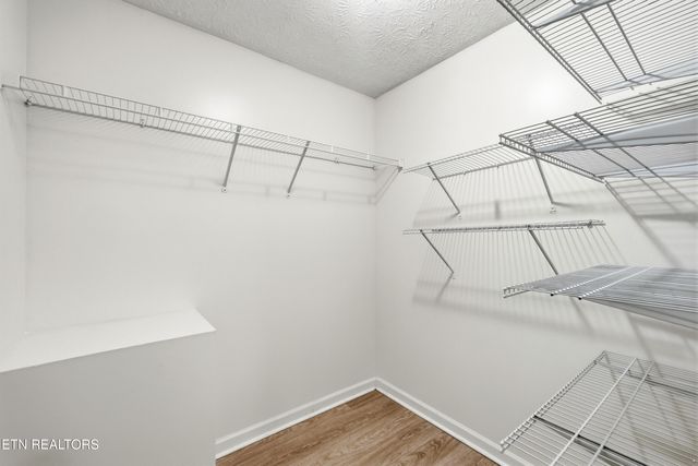 306 Joshua Landing Court, Seymour, TN 37865