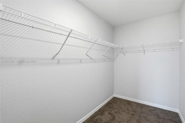 3110 kapok cir, La Belle, FL 33935