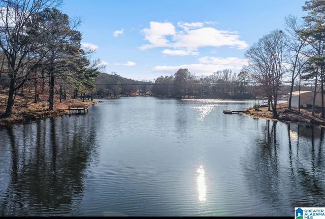 2010 ROCK MOUNTAIN DRIVE, Mccalla, AL 35111