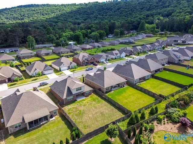 3014 Crystal Creek Drive, Brownsboro, AL 35741