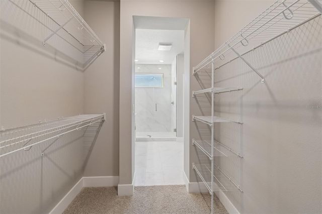 11734 FULL MOON LOOP, Parrish, FL 34219