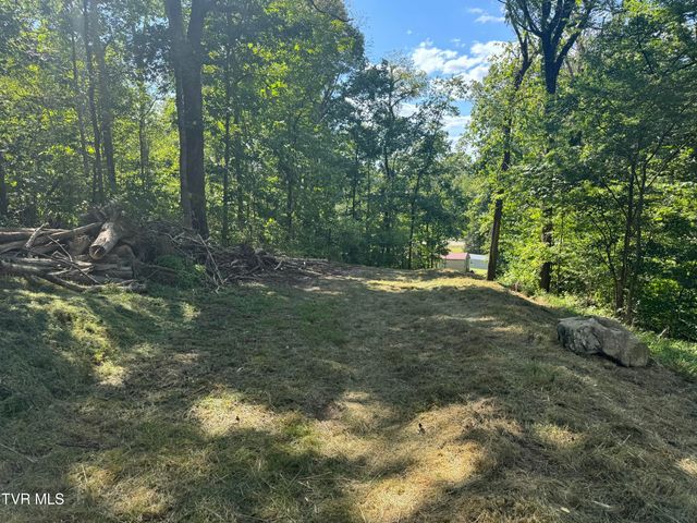 370 Mulberry Road, Greeneville, TN 37745