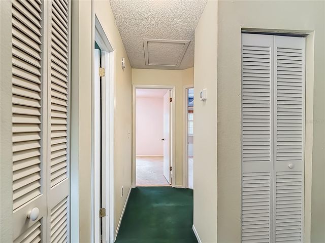 16851 LE CLARE SHORES DRIVE, Tampa, FL 33624