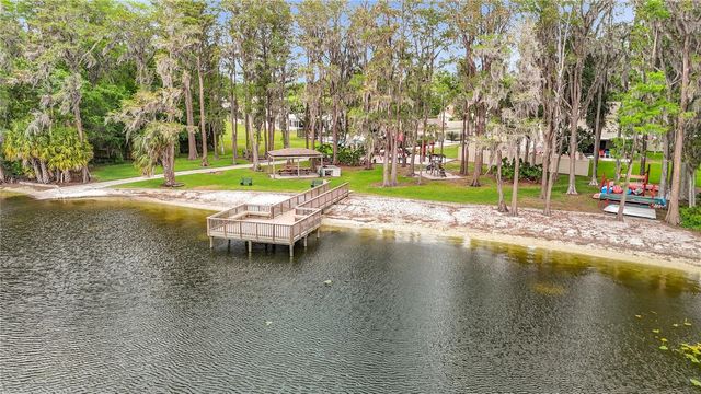 16851 LE CLARE SHORES DRIVE, Tampa, FL 33624
