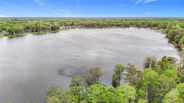 16851 LE CLARE SHORES DRIVE, Tampa, FL 33624