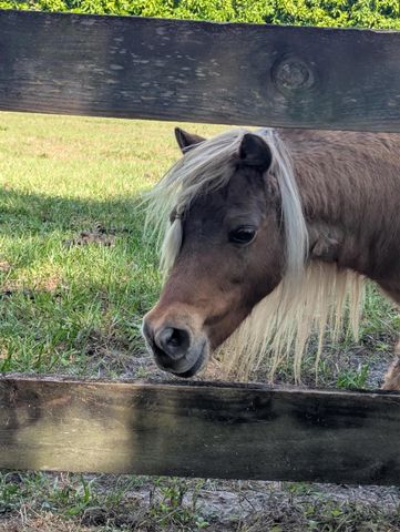 6296 188th Trail N, Loxahatchee, FL 33470