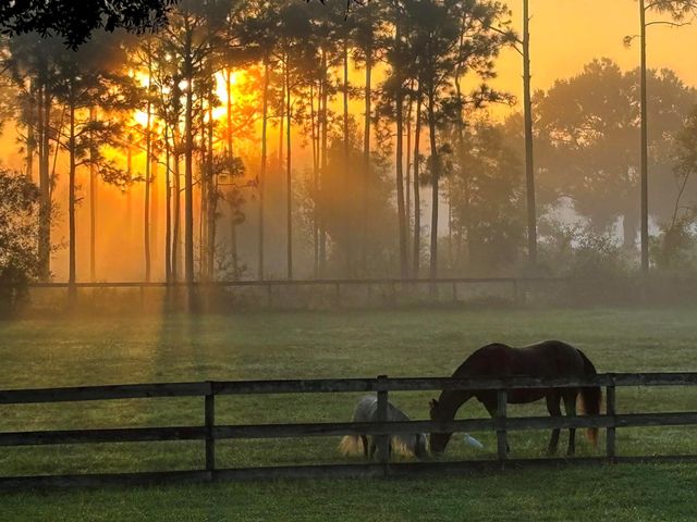 6296 188th Trail N, Loxahatchee, FL 33470