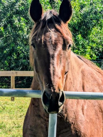 6296 188th Trail N, Loxahatchee, FL 33470