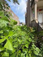 1517 S Millard Avenue, Chicago, IL 60623