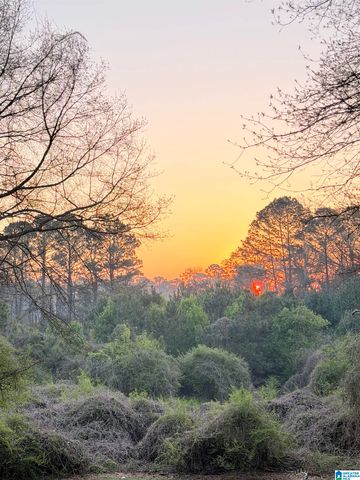 65 DELLWOOD LANE, Cropwell, AL 35054