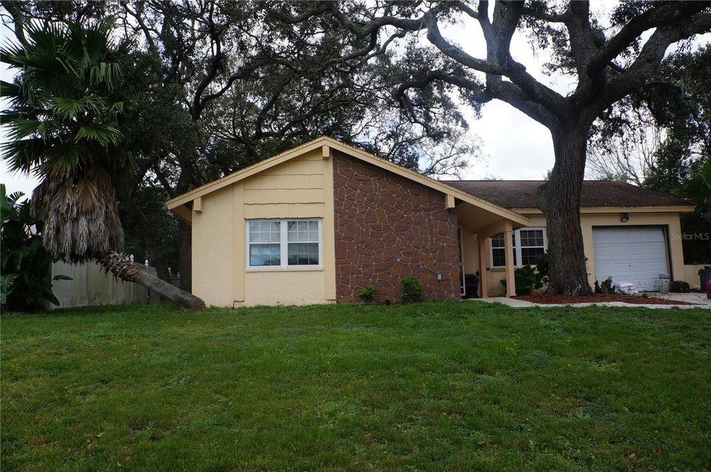 1156 MACFARLANE AVENUE, Spring Hill, FL 34608