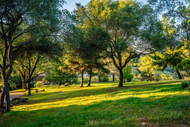 6275 Chablis Dr, Shingle Springs, CA 95682