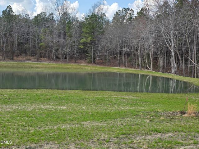 115 Water Willow Lane, Zebulon, NC 27597