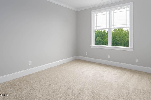 115 Water Willow Lane, Zebulon, NC 27597