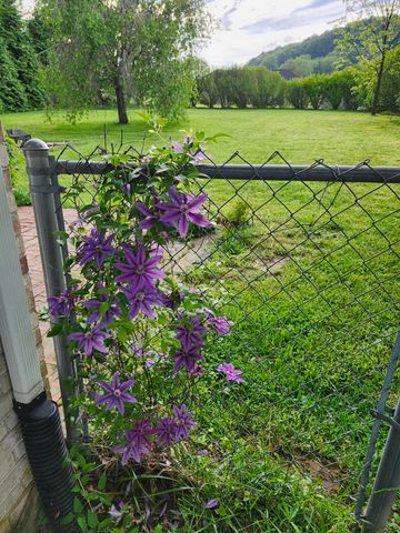 83 Harts Pl Drive, Somerset, KY 42501