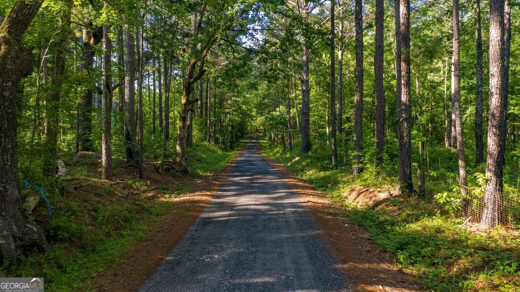 0 Padgett Road LOT 8, Senoia, GA 30276