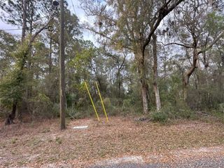 3523 E Lou Lane, Inverness, FL 34442