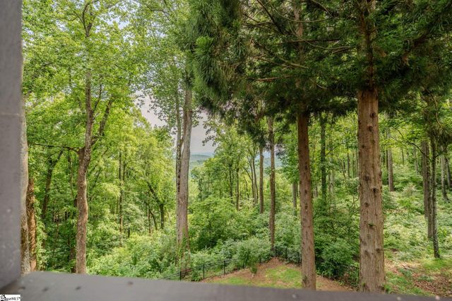 130 Raptor Way, Landrum, SC 29356