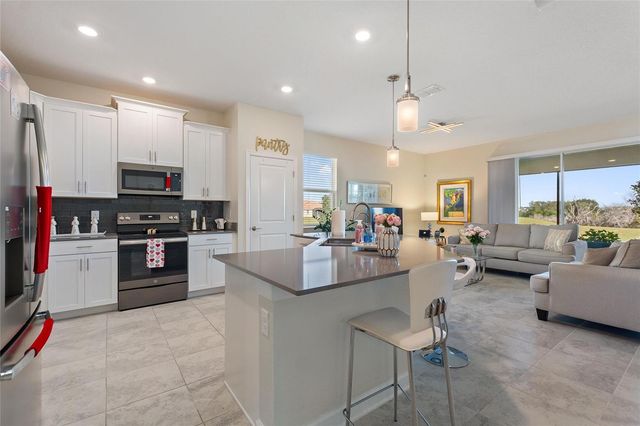 8995 ACE LOOP, Davenport, FL 33896