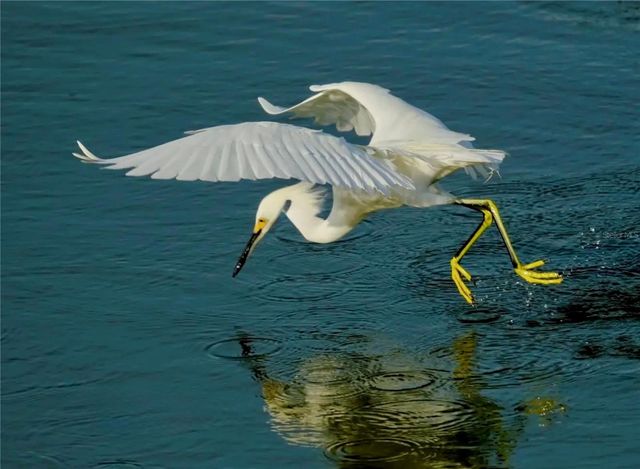 4405 MOUNT VERNON DRIVE, Bradenton, FL 34210