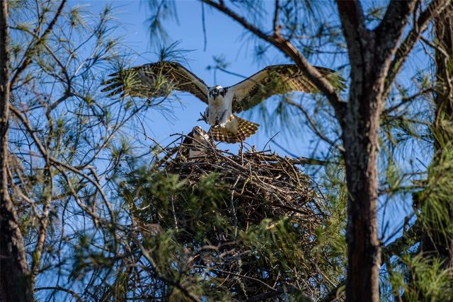 4405 MOUNT VERNON DRIVE, Bradenton, FL 34210