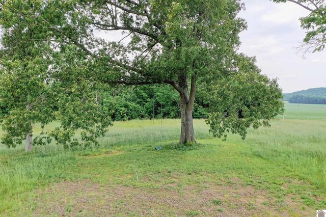976 Buggs Branch Rd, Marion, KY 42064