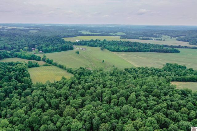 976 Buggs Branch Rd, Marion, KY 42064
