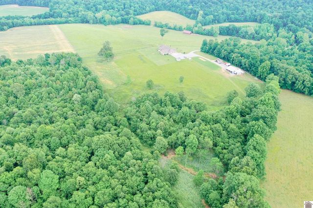 976 Buggs Branch Rd, Marion, KY 42064