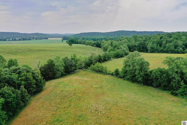 976 Buggs Branch Rd, Marion, KY 42064