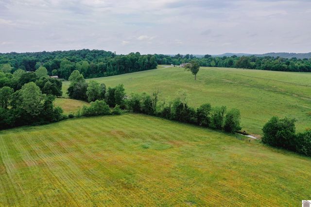 976 Buggs Branch Rd, Marion, KY 42064