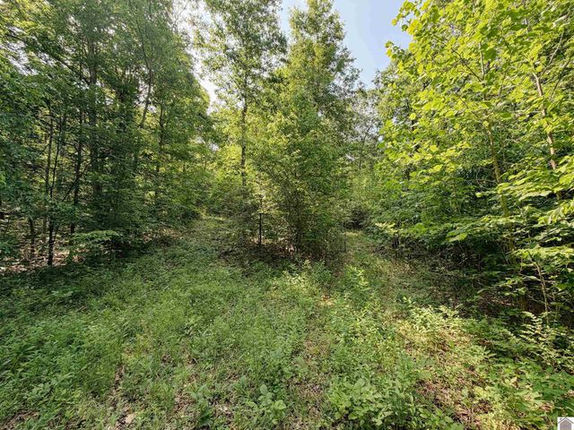 976 Buggs Branch Rd, Marion, KY 42064