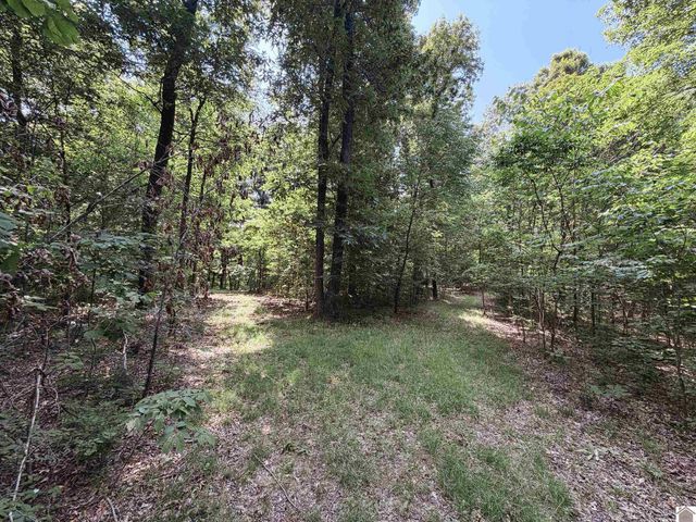 976 Buggs Branch Rd, Marion, KY 42064