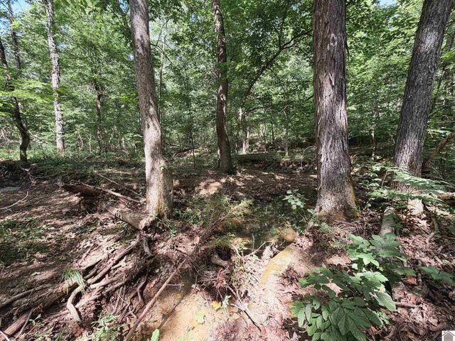 976 Buggs Branch Rd, Marion, KY 42064