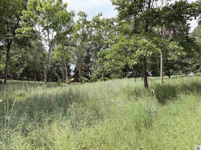 976 Buggs Branch Rd, Marion, KY 42064