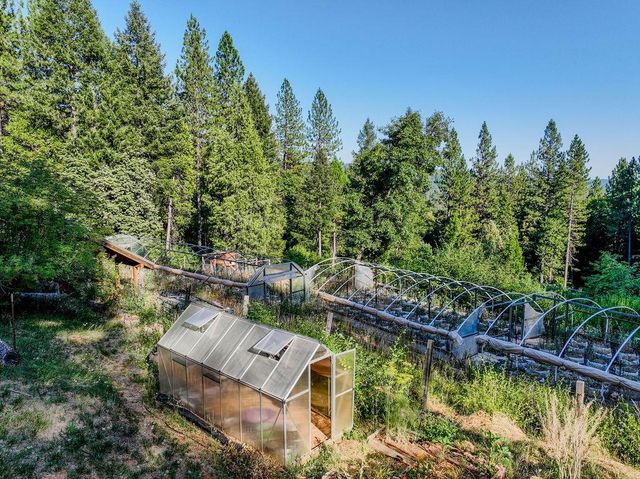 14843 youngs hill Rd, Camptonville, CA 95922