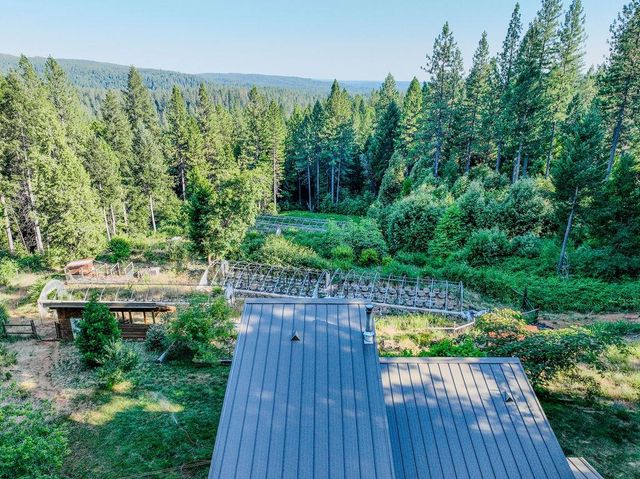 14843 youngs hill Rd, Camptonville, CA 95922