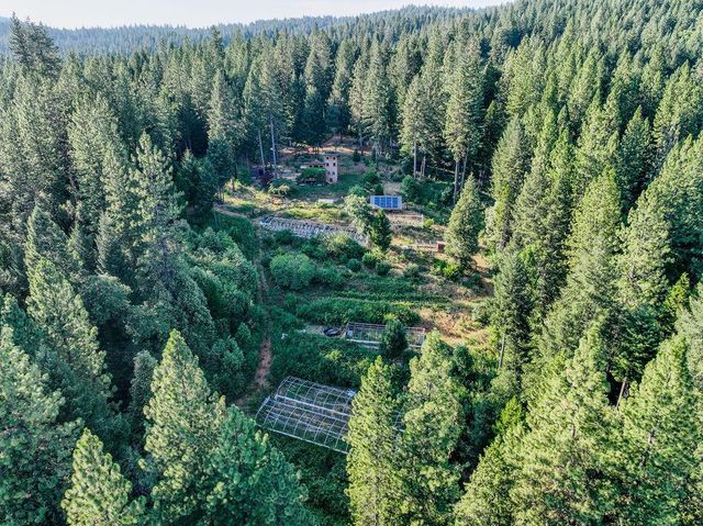 14843 youngs hill Rd, Camptonville, CA 95922