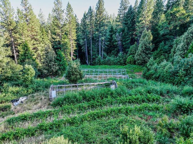 14843 youngs hill Rd, Camptonville, CA 95922