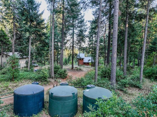 14843 youngs hill Rd, Camptonville, CA 95922