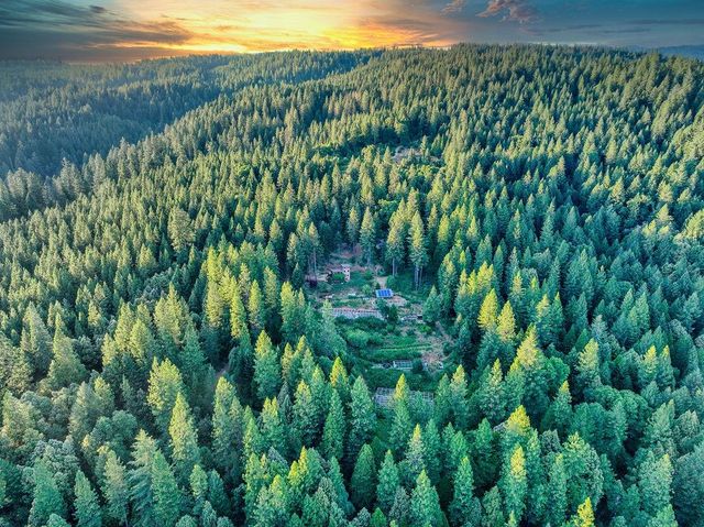 14843 youngs hill Rd, Camptonville, CA 95922