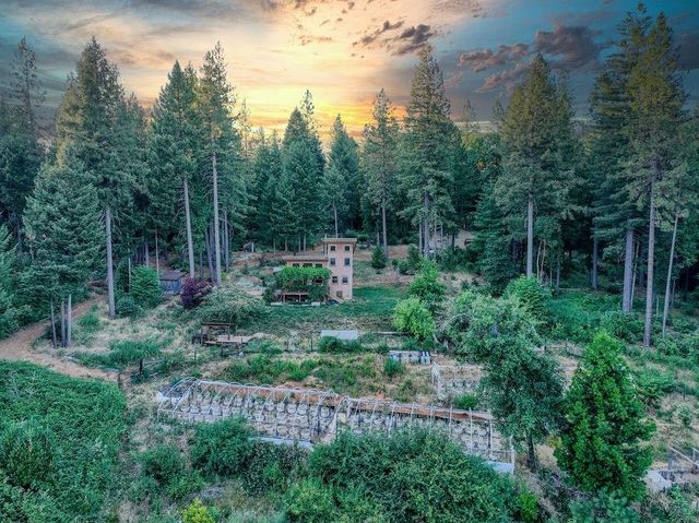 14843 youngs hill Rd, Camptonville, CA 95922