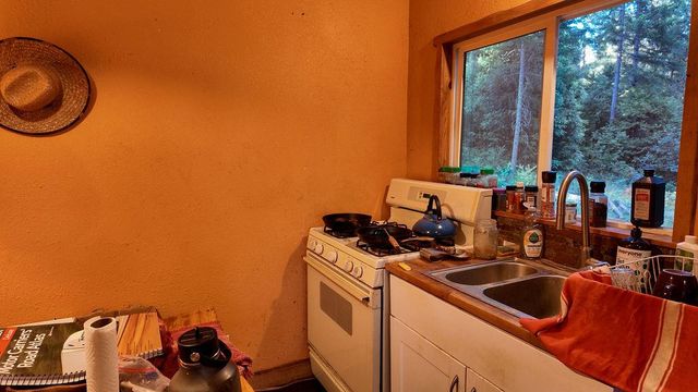 14843 youngs hill Rd, Camptonville, CA 95922