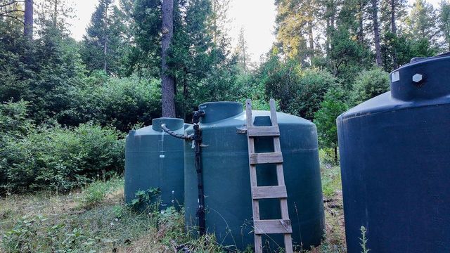 14843 youngs hill Rd, Camptonville, CA 95922