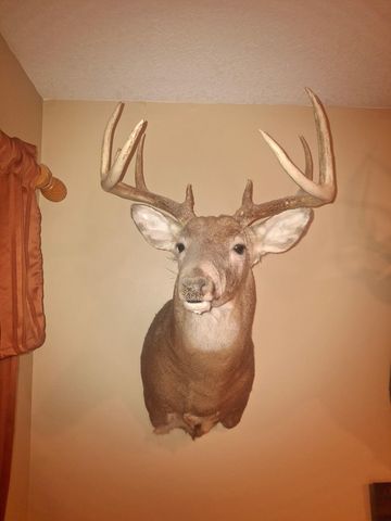 13568 County Road 243, Wheatland, MO 65779
