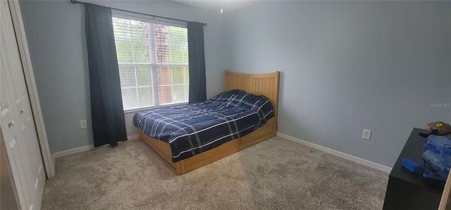 19139 CYPRESS REACH LANE, Tampa, FL 33647