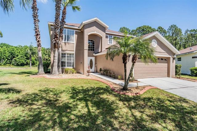 19139 CYPRESS REACH LANE, Tampa, FL 33647