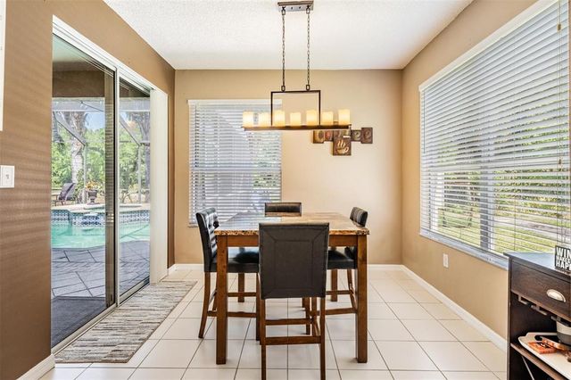 19139 CYPRESS REACH LANE, Tampa, FL 33647