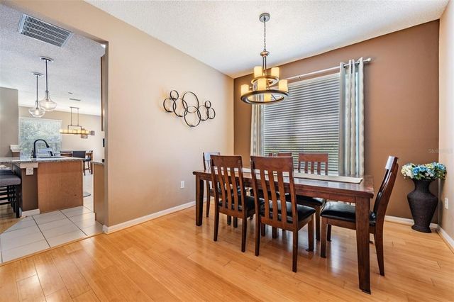 19139 CYPRESS REACH LANE, Tampa, FL 33647