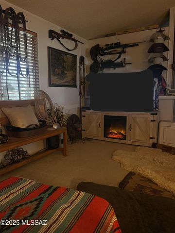 260 S Land Ave Trlr 17, Benson, AZ 85602
