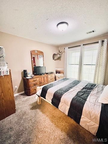 14391 Wells Creek, Ralph, AL 35480